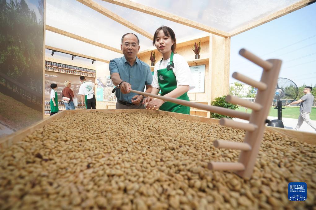 大发手机版网页版登陆